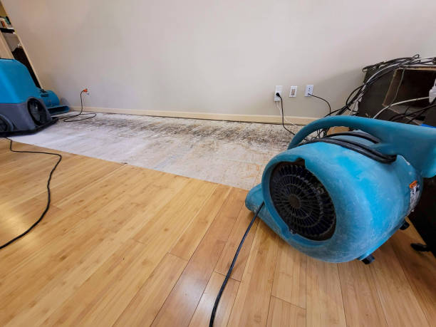 Professional Flood Damage Cleanup technician working in Colfax, WI